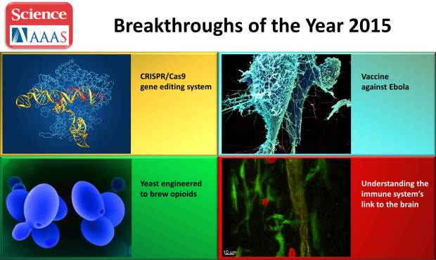 Four NIH-supported science breakthroughs for 2015