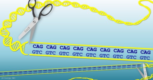 Cas9 clipping the Huntington's repeats